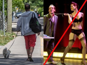 A visual primer on which creatures can be walked on a leash after curfew in Quebec. PHOTO BY DAVE SIDAWAY / PIERRE OBENDRAUF / MONTREAL GAZETTE