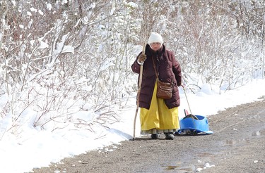 The Swan Lady made a trip to Fielding Park in Lively, Ont. to feed the geese and ducks on Friday May 8, 2020. John Lappa/Sudbury Star/Postmedia Network