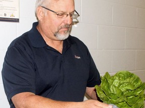 Wayne Chalmers of Spring Hill Farms, bags a head of lettuce, at Powassan Food Fest in May 2018. 
Nugget File Photo