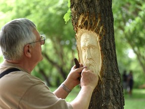 Al Jardine, assisted by Russel Porter (not shown) carved multipe gnome faces in the trees at Spruce Haven Recreation Area in Melfort. Photo Susan McNeil.