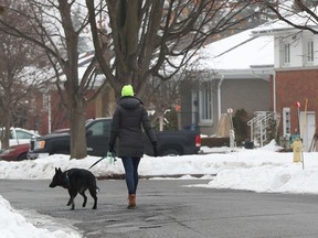 A quiet walk in Ottawa on Wednesday. Exercising a pet will be one of the activities allowed under the Ontario stay-at-home order, the details of which were released Wednesday evening. PHOTO BY TONY CALDWELL /Postmedia