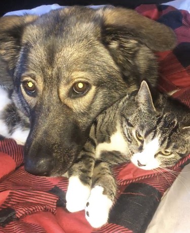 Banjo the dog and Kazooie the cat take a break from scrapping to do a bit of spooning. “They are three months apart in age, both just over a year old now,” says Olivia Brown. “They are the definition of ‘Sisters by chance, friends by choice.’ They often fight ‘like cats and dogs’ but I always catch them in a cuddle.”