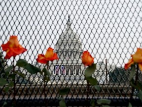 Flowers are placed in security fencing around the U.S. Capitol days after supporters of U.S. President Donald Trump stormed the Capitol in Washington, D.C.