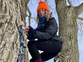 Peg Dunnem has spent nearly 60 days attaching pieces of multi-coloured felted wool to a large tree in front of Gallery Strartford as part of a two-month project she’ll wrap up this week. (Cory Smith/The Beacon Herald)