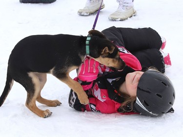Paislee May Collin, 5, plays with her puppy, Kingsley, while taking a break from snowboarding at Bell Park in Sudbury, Ont. on Monday January 4, 2021.
