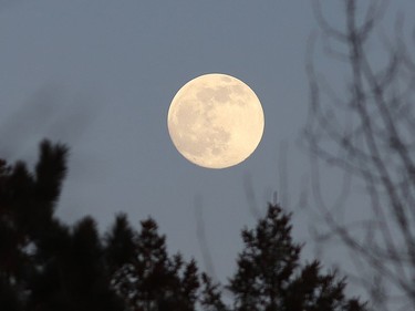 The Wolf Moon, as it is called in January, hovers over a tree line in Greater Sudbury, Ont. on Wednesday January 27, 2021. The moon should be visible during the afternoon for the next couple of days. John Lappa/Sudbury Star/Postmedia Network