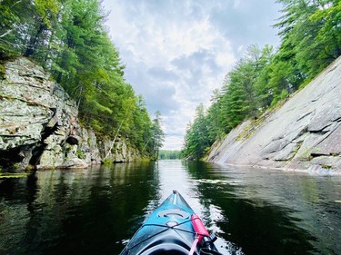 It was in this inlet along the Pickerel River that I saw a cluster of merganser ducks. It was my first time seeing those foxy redheads up close and I will admit I felt a bit of ginger pride. Close encounters with wildlife is definitely one of the best parts of kayaking.