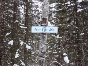 Trails are marked by colour coding to help skiers determine which fits their ability..TP.jpg