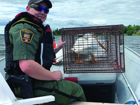 Gideon Entz is the new fish and wildlife officer in the Vulcan district.