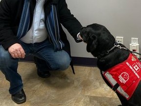 MLA Martin Long meets Karson, who is a support dog for Eagle Tower Victim Services.
