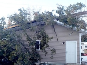 Cody Odland's garage will need some repairs after a 40-foot tree landed on it during last Tuesday's wind storm.