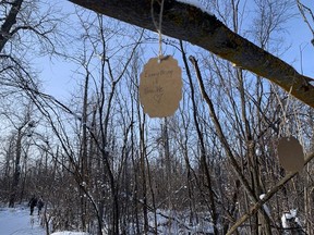 Encouraging messages, such as 'Everything is possible' popped up along a portion of the Riverside Nature Trail in northern Strathcona County. Over the weekend, six additional Strathcona County residents died from COVID-19, bringing the local death toll to 29. Lindsay Morey/News Staff