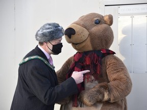 Woodstock mayor Trevor Birtch points at the shadow of Chilly Charlie at the annual Groundhog Day prognostication Tuesday morning at the South Gate Centre. (Kathleen Saylors/Woodstock Sentinel-Review)
