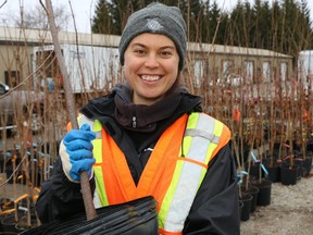 Upper Thames River Conservation Authority staff member Tatianna Lozier assists with the distribution of native hardwood trees purchased through London's annual Tree Power program. That same program is being offered in Stratford for the first time this year thanks to a partnership between the conservation authority, Festival Hydro, and the city's energy and environment committee. Submitted photo