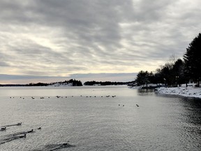 The International Lake Ontario-St. Lawrence River Board is not expecting widespread flooding on the river this spring. (RONALD ZAJAC/The Recorder and Times)