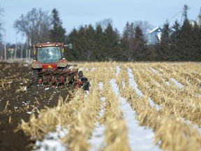 File photo/Mike Hensen/Postmedia