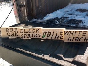 The wood-burned tree signs, which were crafted by retired MNR official Dave Track.