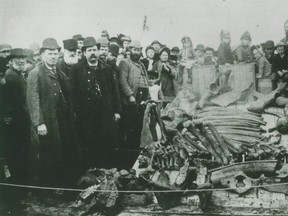 Bones of the Highgate Mastodon on display in 1890. Handout