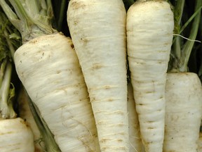 Parsnip roots these are not. They are tapered white roots of Konika parsley. The taste is a blend of carrot, celeriac and parsley all in a single root. (Richters Herbs supplied photo)