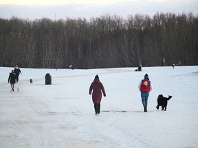 The Deermound Dog Off-Leash Park has been a popular destination for local dog lovers throughout the pandemic. At the latest Feb. 23 meeting, council directed administration to create a report on providing more temporary dog park locations throughout the county. The report will return before the end of the second quarter of 2021. Lindsay Morey/News Staff