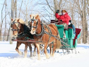 TJ Stables owner Terry Jenkins waves as she takes guests Sarah and Joe Wright on a sleigh ride at her farm in Chatham, Ont., on Saturday, Feb. 20, 2021. Mark Malone/Chatham Daily News/Postmedia Network