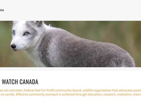 Information on coyotes can be found on the Coyote Watch Canada website.