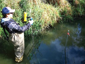 Dan Bittman, LTVCA watershed monitoring specialist, collects water quantity data in McGregor Creek at the Walter Devereux Conservation Area. Handout