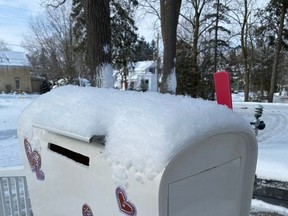 Placed out front on Seaforth Manor, the Valentine's Day mailbox collected cards from community members who wished to show their support for the Huron East long-term care and retirement home. Handout