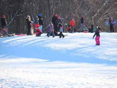 It can get a bit crowded at a Mille Roches hill waiting for your turn. . . Photo on Sunday, January 31, 2021,  in Long Sault, Ont. Todd Hambleton/Cornwall Standard-Freeholder/Postmedia Network