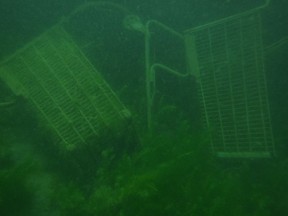 Some shopping carts in the murky depths of the St. Lawrence River, located during a cleanup effort.Photo by Andy Buist. Handout/Cornwall Standard-Freeholder/Postmedia Network

Handout Not For Resale