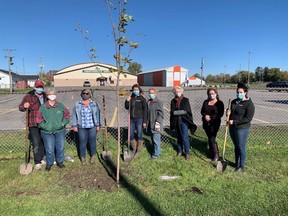 The Chesterville Green Gang, with some Community Environmental Grants Program tree-planting last fall.Handout/Cornwall Standard-Freeholder/Postmedia Network

Handout Not For Resale