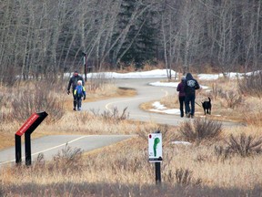 Pathway advocates hope data from a popular outdoor recreation app will help optimize the local pathway system.