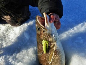 ice fishing