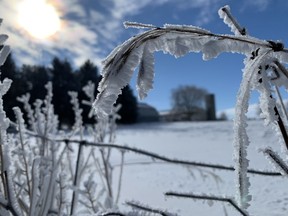 This picturesque scene was commonplace around Perth County early Feb. 4 as thick fog permeated the air and mixed with cold temperatures left hoar frost. More snow and extreme cold were expected last weekend as winter settles in. But the days are getting a little bit longer, have you noticed? CORY SMITH