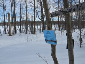 A sign marks where the Cole's Sideroad unopened road allowance meets Concession 24 in Georgian Bluffs.
