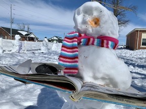 Dozens of snowmen populate Donegal Community Christian School's property after students followed the lead of a nearby Amish school, whose pupils built more than 100 snowmen along Perth Line 72.