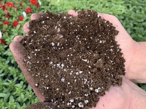 Pro-Mix, is a soilless growing medium used by greenhouse growers everywhere. Gardening expert John DeGroot says gardeners can expect shortages of peat moss as well as seeds this spring. John DeGroot photo