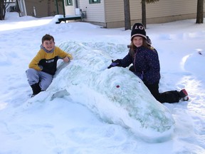 Jaxsin Chatwell, 10, left, and Ella Cascanette, 7, show off a five metre long alligator snow sculpture they helped make for the virtual Walden Winter Carnival last weekend. John Lappa/Sudbury Star/Postmedia Network