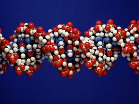 DNA