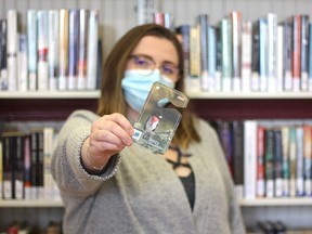 Lambton County Library is now offering its cardholders seasonal day-use permits for Ontario Provincial Parks. Handout/Sarnia This Week