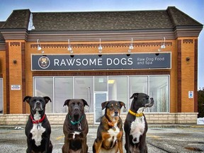 Rawsome Dogs Raw Food Store and Spa owners' Joan Lowe and Jodie Stansfield's dogs await the March 1 grand opening of the new dog food and grooming store located at 1403 Michigan Ave. Handout/Sarnia This Week