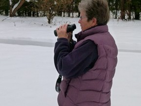 Diane Salter of Walsingham was part of the annual Great Backyard Bird Count in recent years. File photo/Postmedia Network