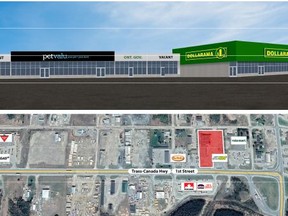 Dollarama and PetValu are two of the businesses that are planning to move into the mall on Hwy 11..TP.jpg