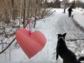 A red paper heart flutters Monday alongside the walking trail through Pinafore Park woods. (Eric Bunnell photo)