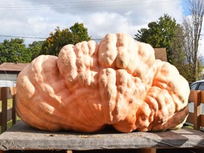 Successfully staging a virtual Port Elgin Pumpkinfest last October earned organizers an achievement award for adapting, pivoting and evolving from Festivals and Events Ontario.