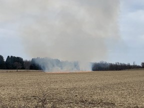 Woodstock firefighters responded to a fire in a corn field on County Road 3 Tuesday evening. (Woodstock Fire Department)