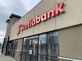 In relation to two robberies at the Scotiabank at 222 Baseline Road, Darcey Daniel Boulianne of Edmonton has been charged with two counts of robbery and two counts of disguised with intent. Lindsay Morey/News Staff