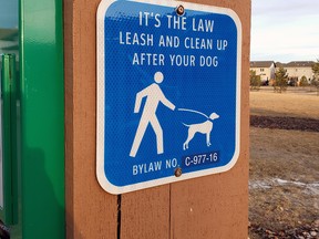 All dog owners need to do their part to help keep parks, trails and green spaces clean. File photo