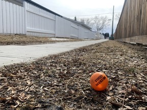 An old street hockey ball lays along the pathway where a female youth was assaulted by two unknown males near Pine Street Elementary School on March 16 around 3:15 p.m. Lindsay Morey/News Staff