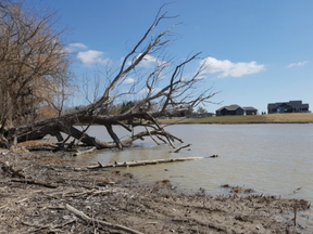 Shown is the Thames River at Parry Landing Park on Grande River Line, south of Pain Court, on Monday. The Lower Thames Valley Conservation Authority says it has been an ideal spring so far with respect to flooding conditions. (Trevor Terfloth/The Daily News)